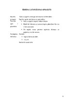 Referāts 'Vegānisms. Vienas dienas sabalansētas ēdienkartes izstrāde', 13.