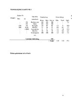 Referāts 'Vegānisms. Vienas dienas sabalansētas ēdienkartes izstrāde', 14.