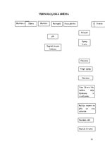 Referāts 'Vegānisms. Vienas dienas sabalansētas ēdienkartes izstrāde', 15.