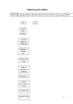 Referāts 'Vegānisms. Vienas dienas sabalansētas ēdienkartes izstrāde', 17.