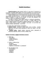 Referāts 'Radošā un kritiskā domāšana', 4.