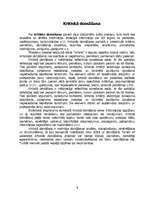 Referāts 'Radošā un kritiskā domāšana', 6.