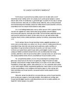 Eseja 'Eiro ieviešana Latvijā', 1.