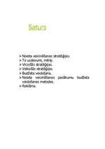 Referāts 'Noieta veicināšanas stratēģijas', 2.