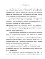 Referāts 'Laika plānošana', 3.