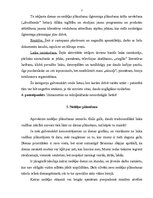 Referāts 'Laika plānošana', 7.