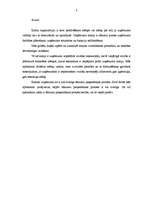 Referāts 'Mērķi', 1.