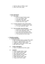 Paraugs 'Vārdu kļūdas bērnu valodā', 3.