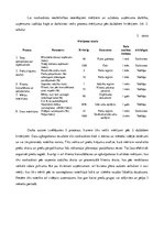 Paraugs 'Uzņēmējdarbības procesi un to analīze ekoveikalam', 3.