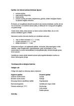 Referāts 'Tekstilšķiedras, to identifikācija', 4.