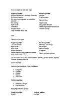 Referāts 'Tekstilšķiedras, to identifikācija', 5.