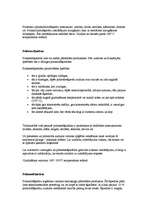 Referāts 'Tekstilšķiedras, to identifikācija', 8.