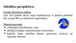 Prezentācija 'Latvijas akciju tirgus analīze', 11.