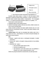 Referāts 'A/s "Latvijas gāze" konkurētspējas analīze', 16.