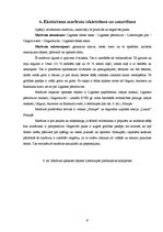 Prakses atskaite 'Ekotūrisms un viesmīlība', 9.