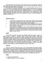 Referāts 'Vīrieša dzimumloceklis', 5.