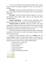 Referāts 'Lielvārdes kultūras un sporta pasākumu mārketinga aktivitāšu izvērtējums', 19.