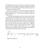 Referāts 'Redundantas tīkla topoloģijas uzņēmuma tīklā', 25.