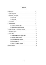 Biznesa plāns 'Skolēnu mācību firma', 2.