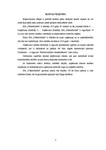 Biznesa plāns 'Skolēnu mācību firma', 3.