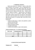 Biznesa plāns 'Skolēnu mācību firma', 4.