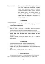 Biznesa plāns 'Skolēnu mācību firma', 5.