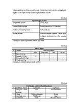 Biznesa plāns 'Skolēnu mācību firma', 6.