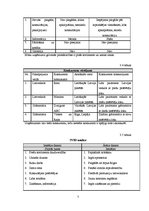 Biznesa plāns 'Skolēnu mācību firma', 7.