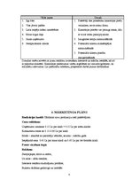 Biznesa plāns 'Skolēnu mācību firma', 8.