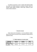 Biznesa plāns 'Skolēnu mācību firma', 11.