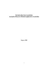 Referāts 'Analysis of Imants Ziedonis Epiphanies Translation', 1.