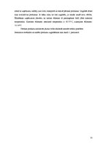 Referāts 'Tehnoloģiskais projekts kafejnīcai "Sofija"', 33.