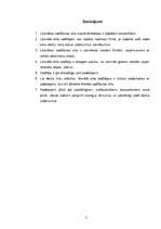 Referāts 'Liberālais vadības stils', 5.