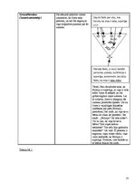 Referāts 'Hipnoze – transs un tā ieviešana sarunās', 15.