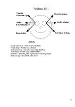 Referāts 'Hipnoze – transs un tā ieviešana sarunās', 24.