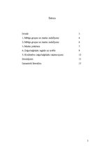 Referāts 'Sieviešu zeķu/zeķbikšu tirgus pētījums Latvijā', 2.