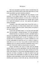 Referāts 'Sieviešu zeķu/zeķbikšu tirgus pētījums Latvijā', 13.