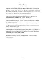 Biznesa plāns 'Individuālais komersants "Maxx"', 3.