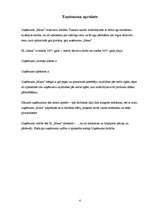 Biznesa plāns 'Individuālais komersants "Maxx"', 4.