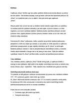 Biznesa plāns 'Individuālais komersants "Maxx"', 8.