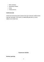 Biznesa plāns 'Individuālais komersants "Maxx"', 9.