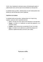 Biznesa plāns 'Individuālais komersants "Maxx"', 10.