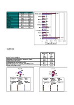 Paraugs 'Laboratorijas darbi datormācībā', 11.