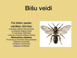 Prezentācija 'Bites', 3.