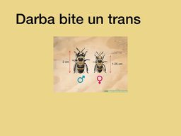 Prezentācija 'Bites', 5.