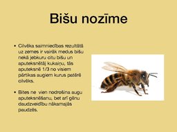 Prezentācija 'Bites', 6.