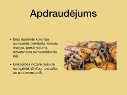 Prezentācija 'Bites', 7.