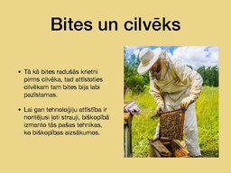 Prezentācija 'Bites', 9.