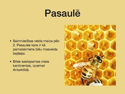 Prezentācija 'Bites', 10.