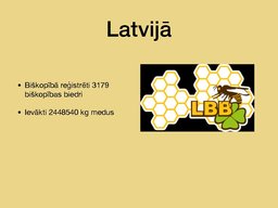 Prezentācija 'Bites', 12.